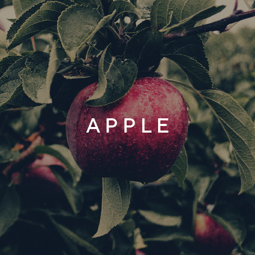 Trudon Abd El Kader Candle Classic 270g