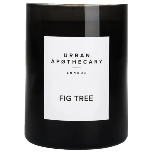 Urban Apothecary Fig Tree Candle 300g