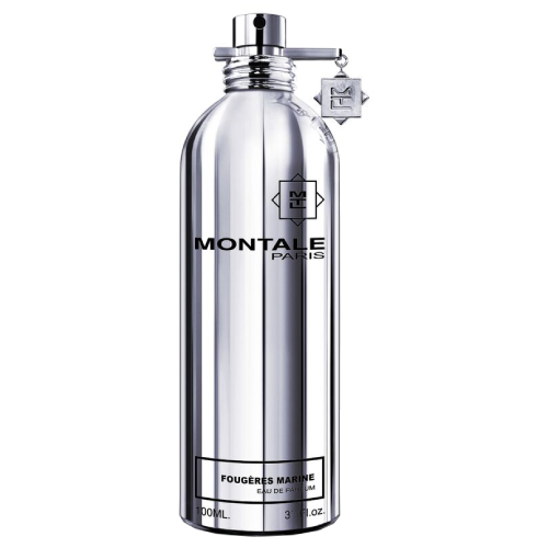 Montale Paris Fougeres Marines EDP 100ml by Montale Paris