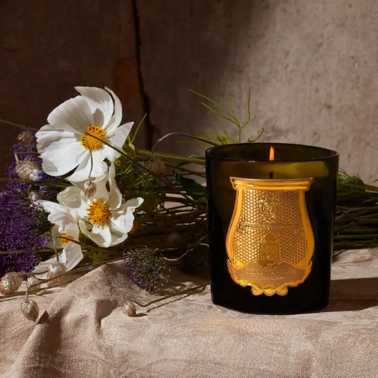 Trudon Cire Candle 270g