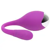 Lovehoney Ignite Rechargeable Egg Vibrator Purple by Lovehoney