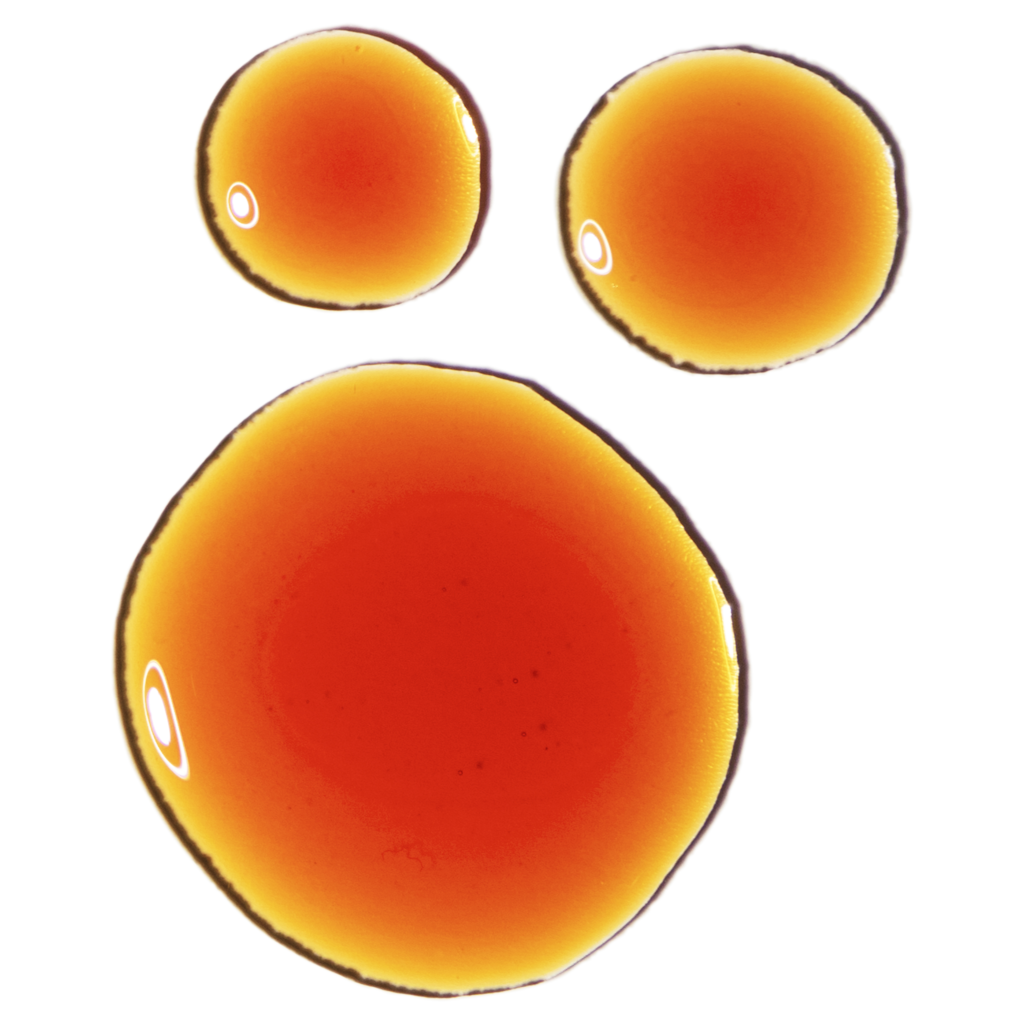 The Ordinary Pycnogenol 5% 15ml