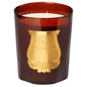 Trudon Cire Candle 3kg by Trudon