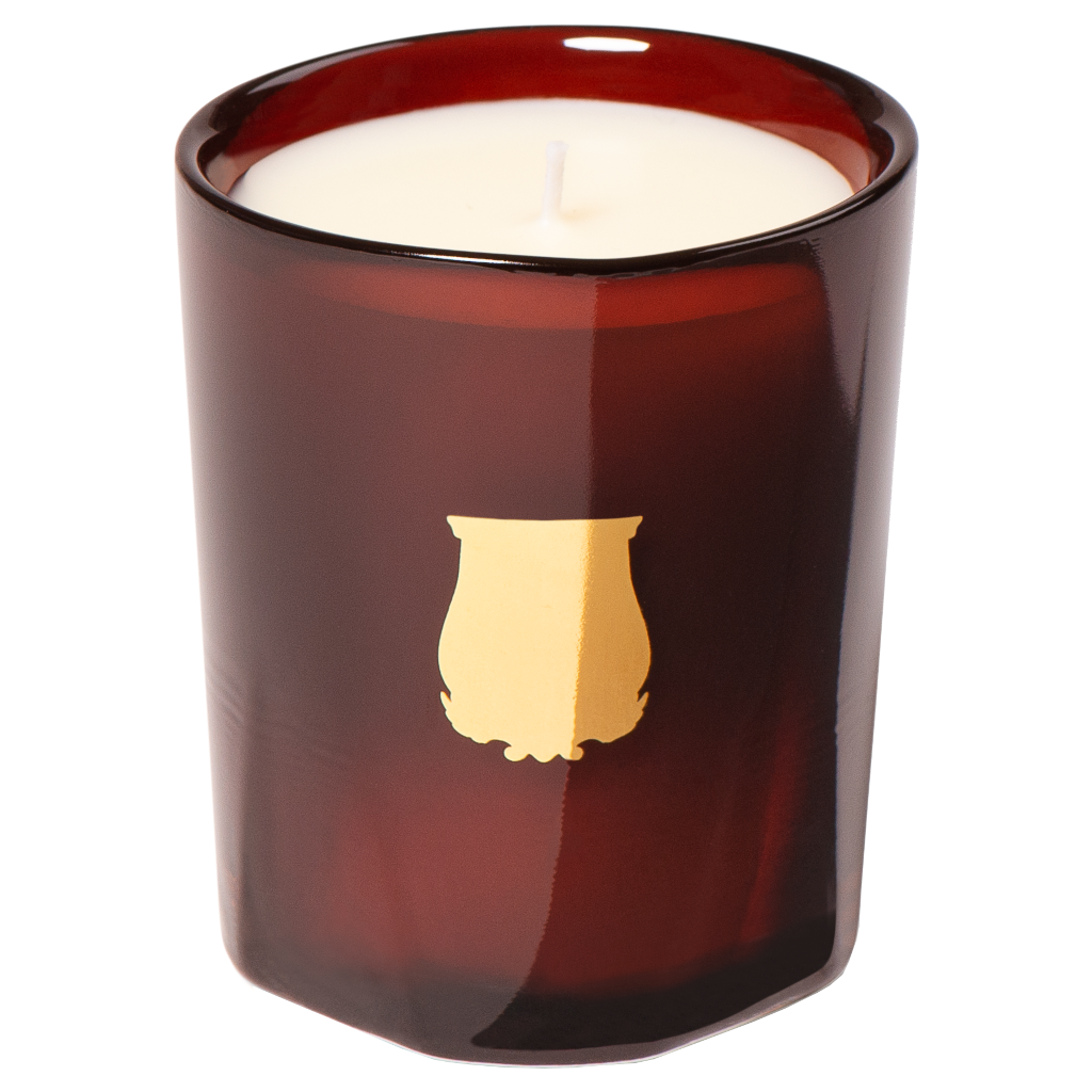 Trudon Cire Petite Candle 70g by Trudon