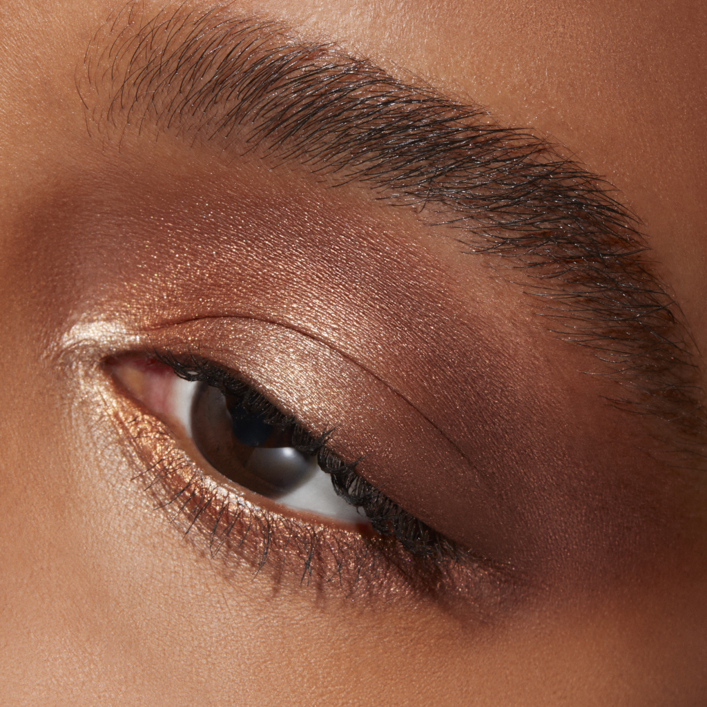M.A.C Cosmetics Connect In Colour - Eyes X6 Bronze Influence