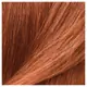 IGK PERMANENT COLOR KIT Copper Cola- Dark Coppery Blonde