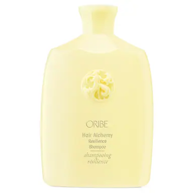 Oribe Hair Care Hair Alchemy Resilience Shampoo