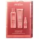 AVEDA Nutriplenish Light Value Kit