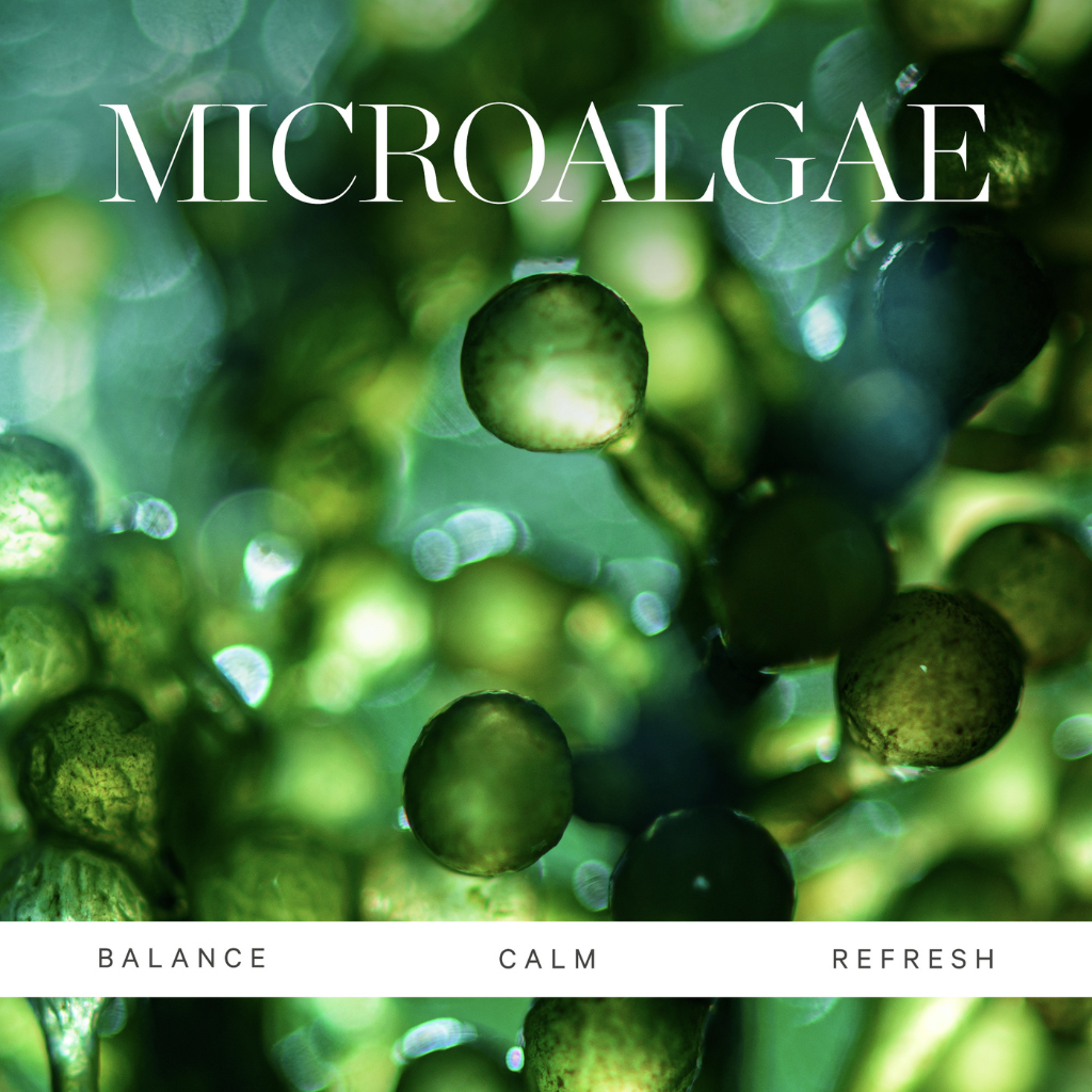 Kora Organics Active Algae Calming Cleansing Balm 30ml