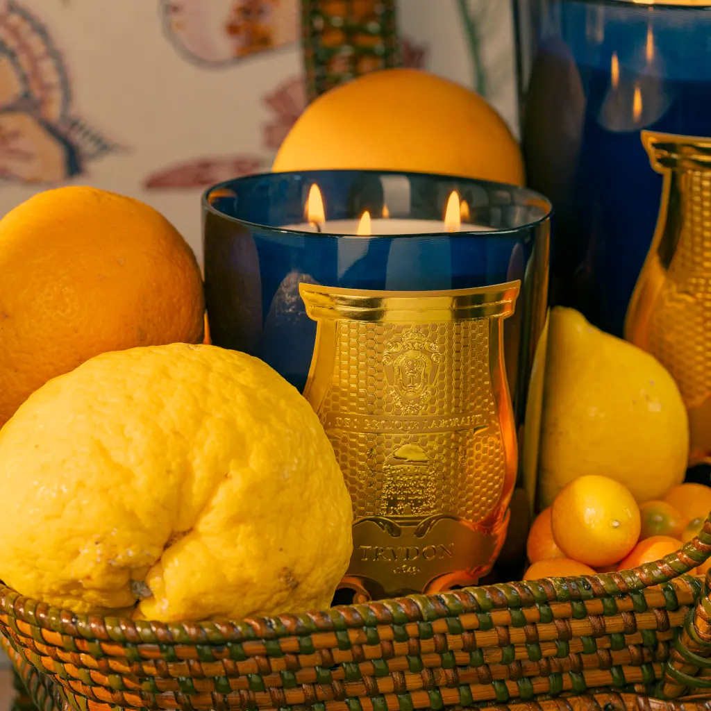 Trudon Reggio Candle 270g