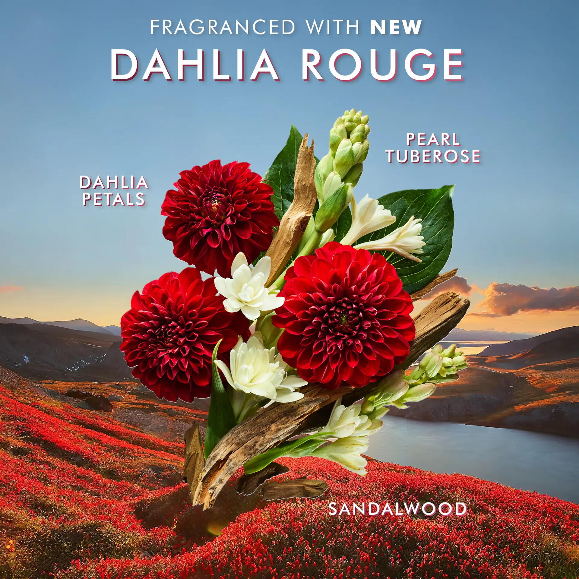Moroccanoil Body Lotion Dahlia Rouge 360ml