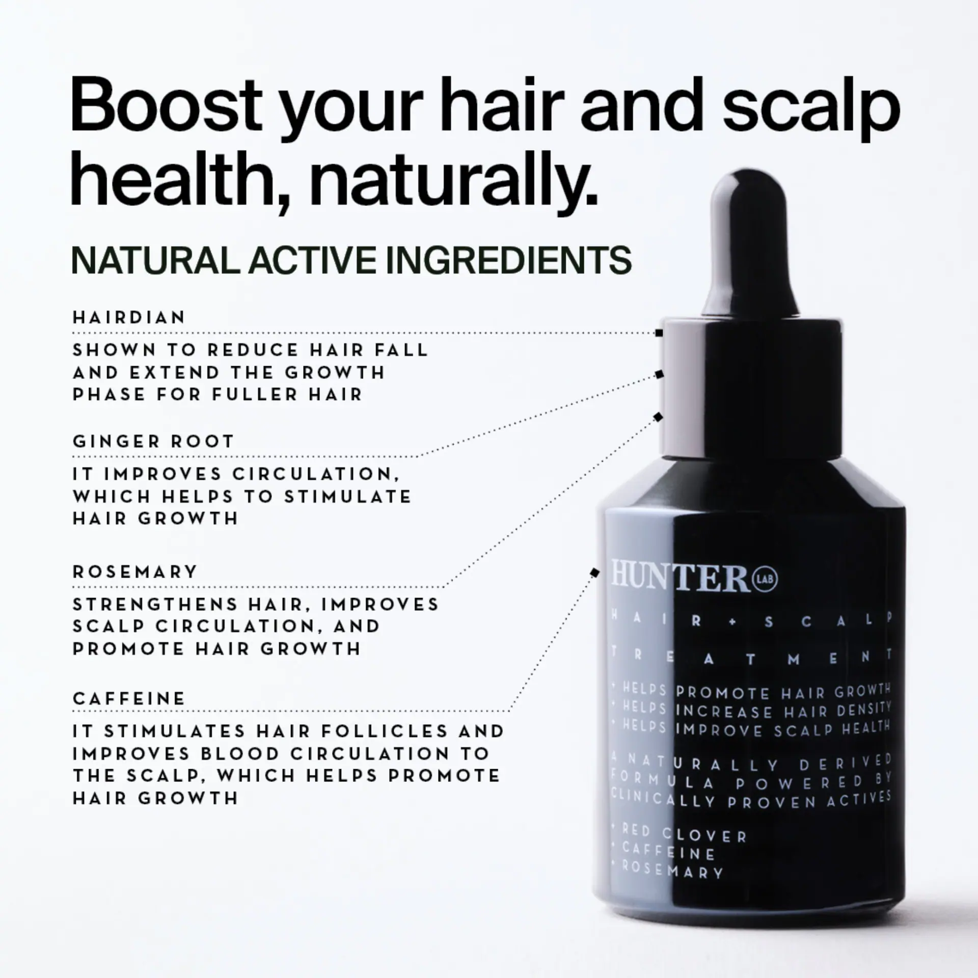 Hunter Lab Hair + Scalp Treatment