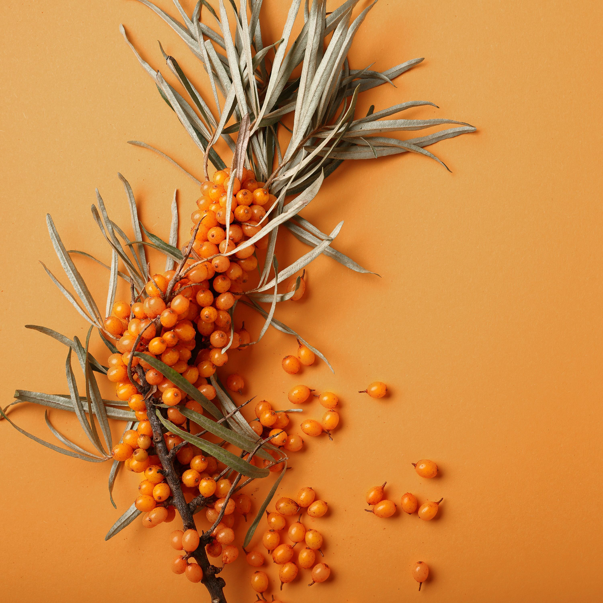 Weleda Vitality Shower Cream - Sea Buckthorn 400ml