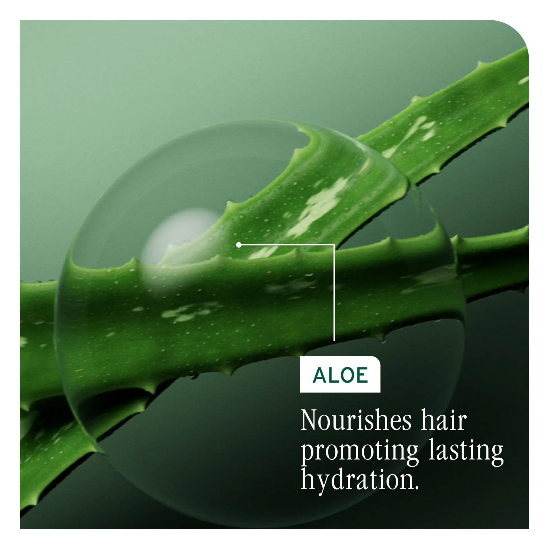 Biolage Hydra Source Detangling Solution 400ml