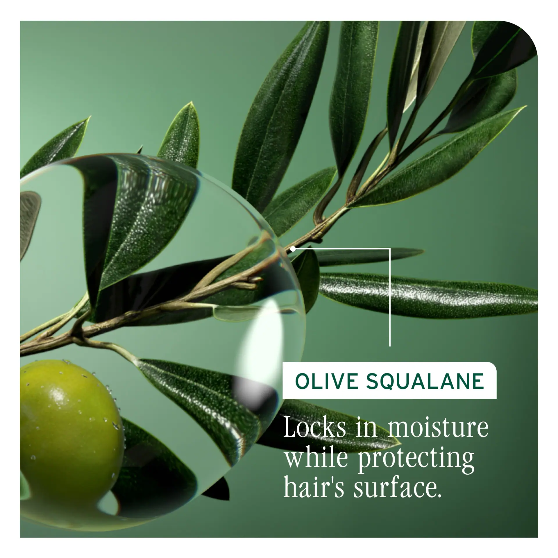 Biolage Hydra Source Shampoo Refill 500ml
