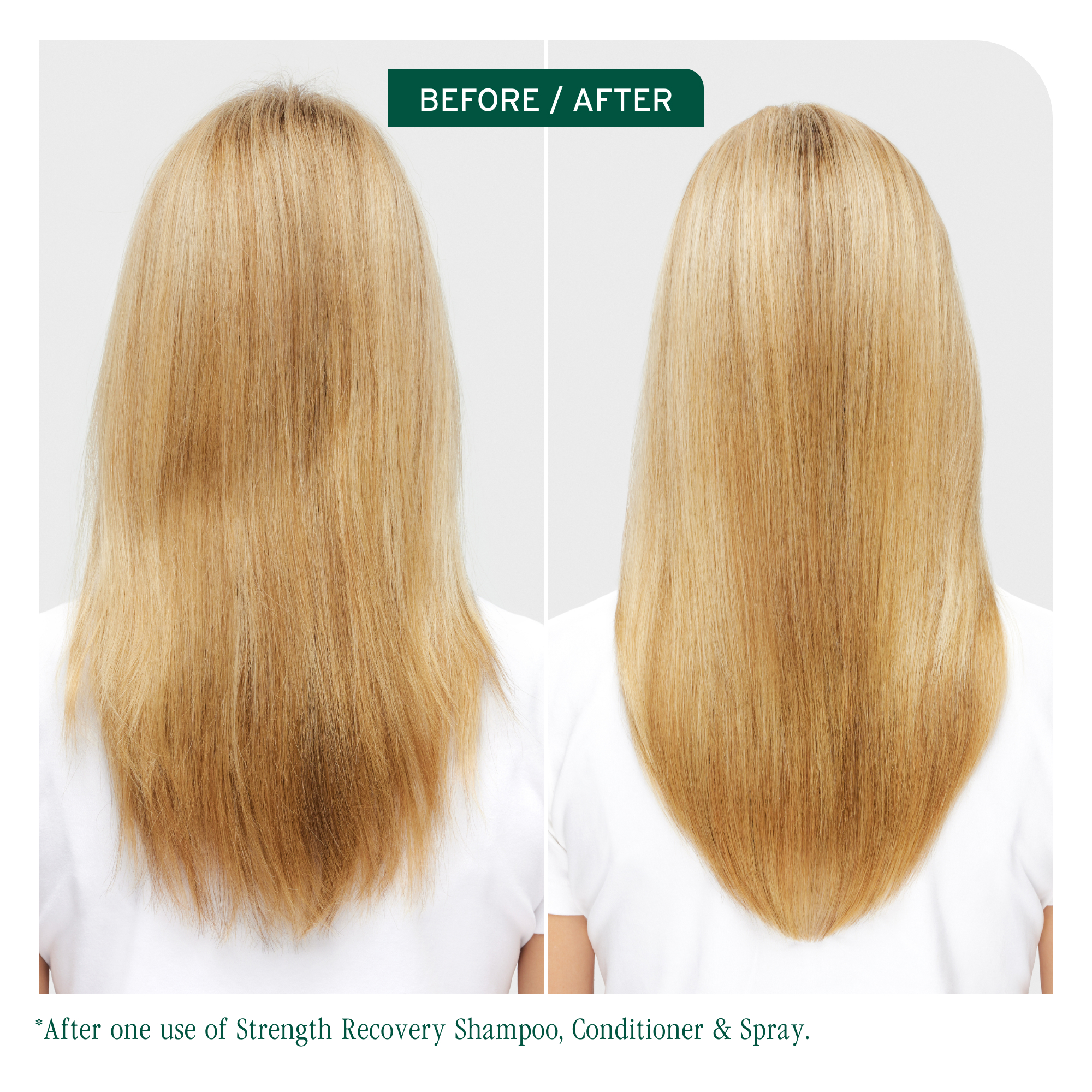 Biolage Strength Recovery Conditioner 236ml