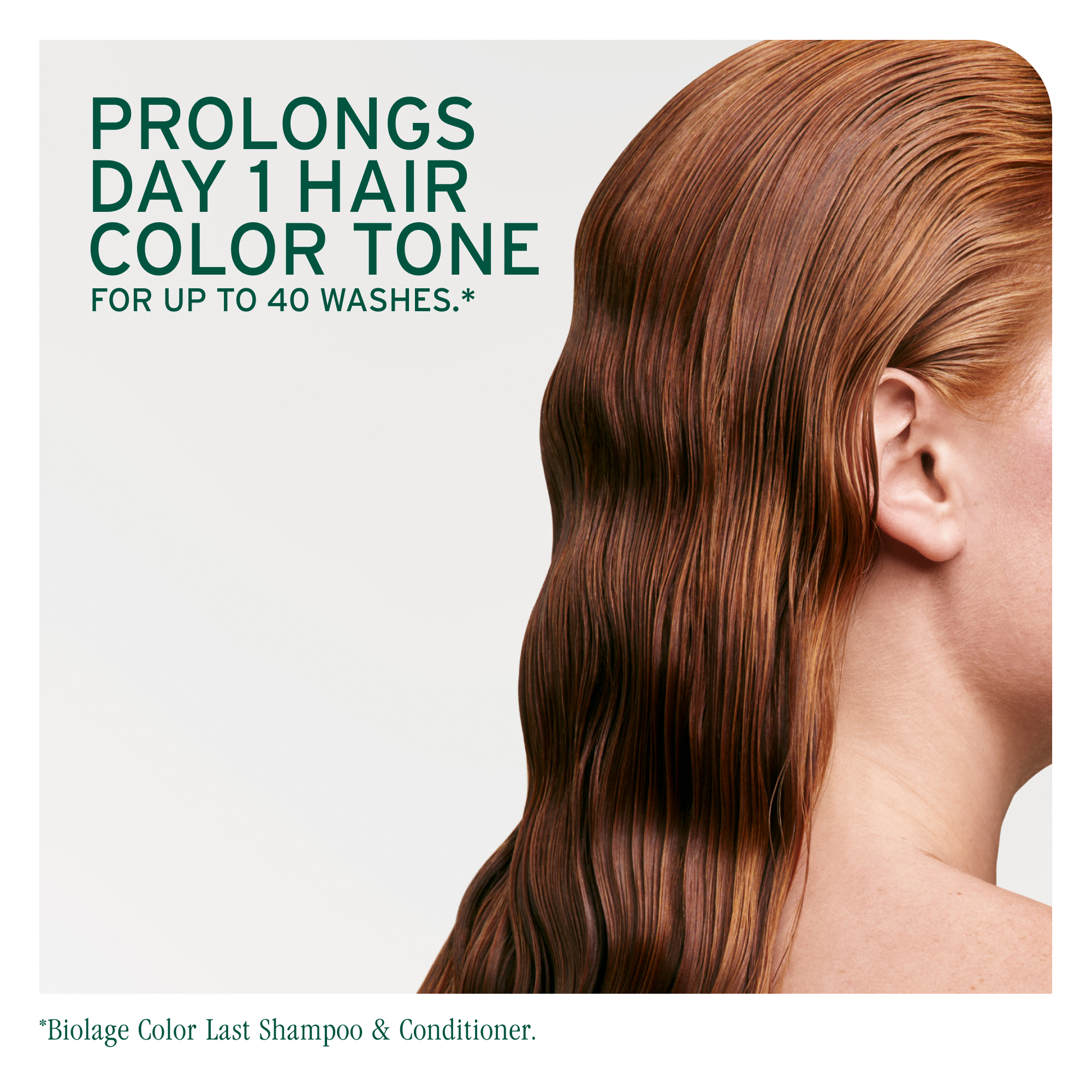 Biolage Color Last Purple Shampoo 400ml