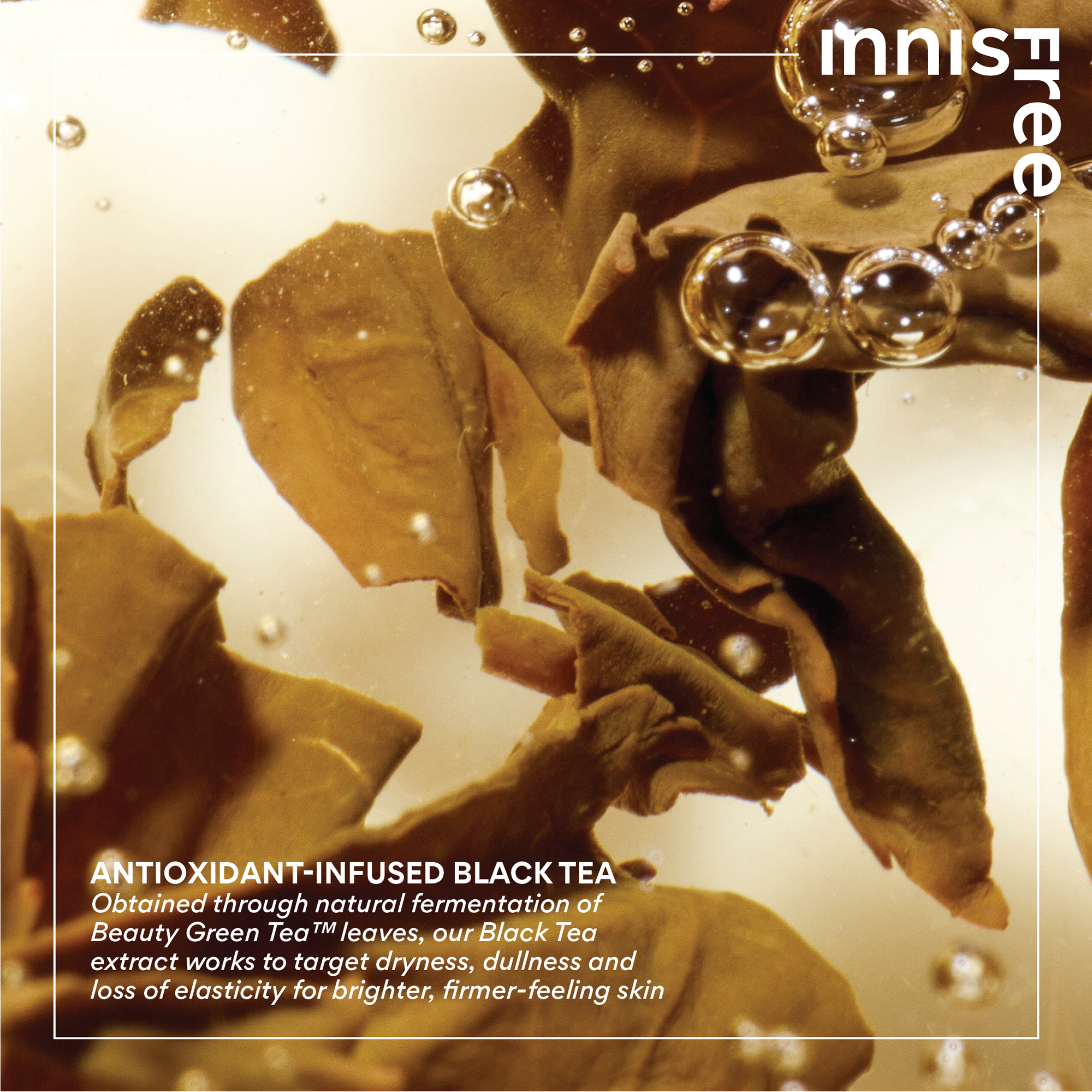 INNISFREE Black Tea Youth Enhancing Treatment Essence 75ml