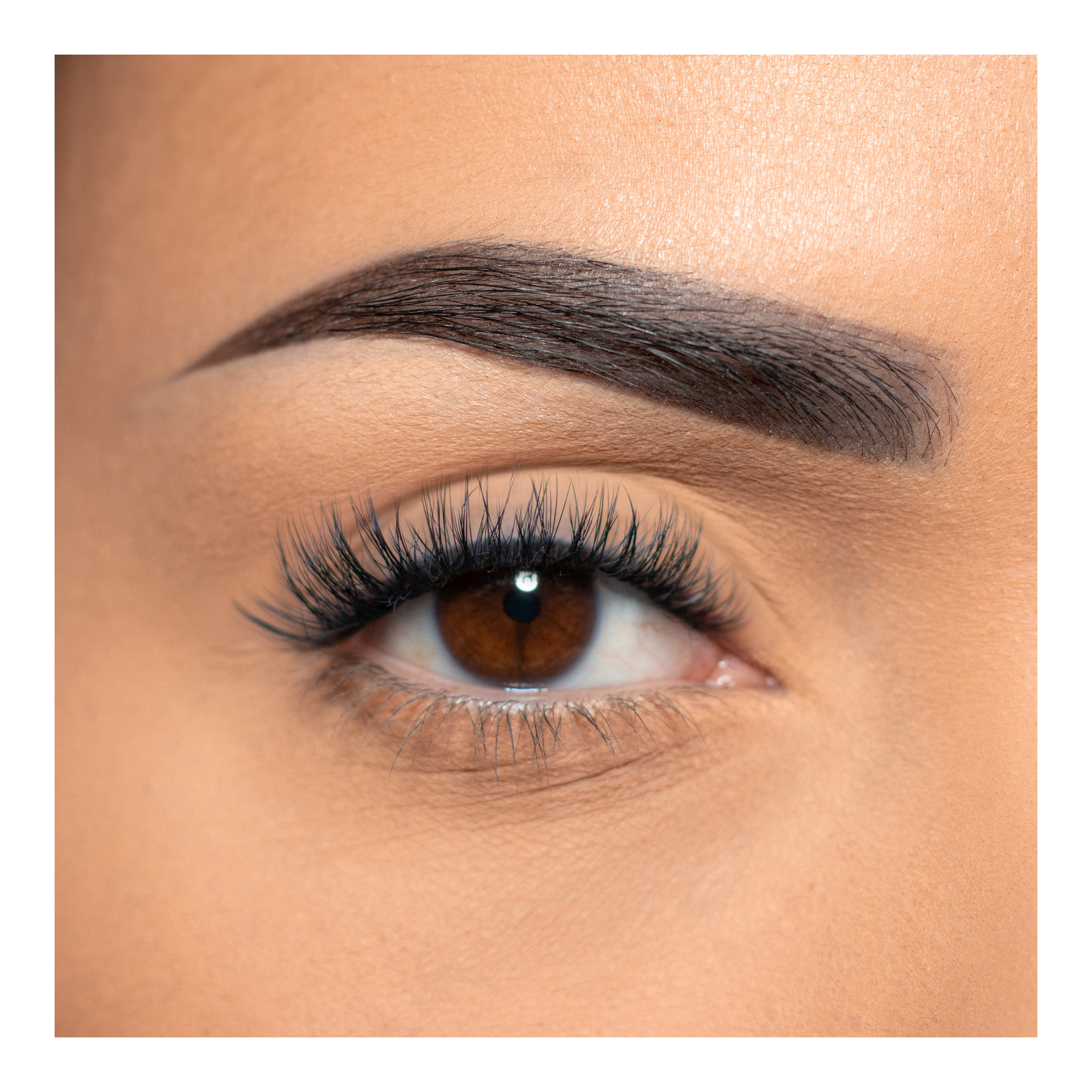 MODELROCK Pre-Glued Cluster Lashes