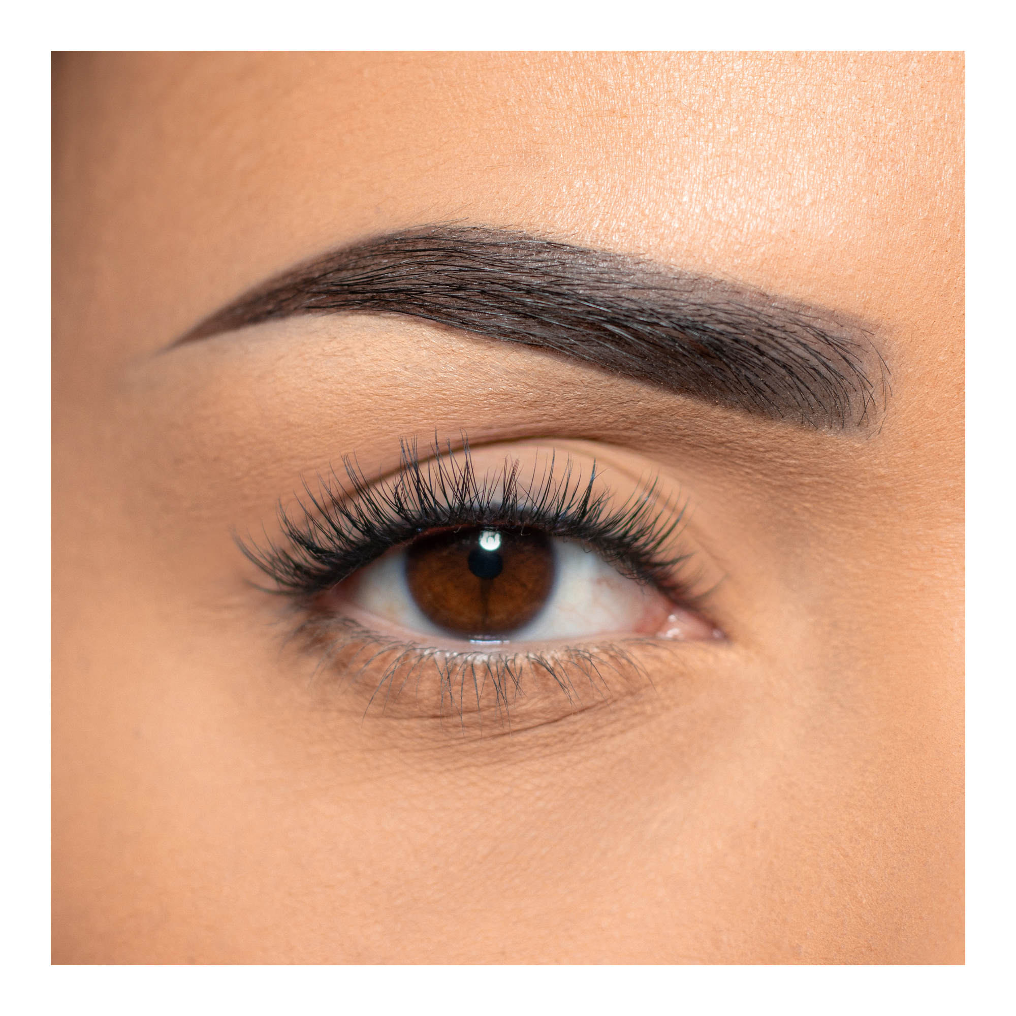 MODELROCK Pre-Glued Cluster Lashes