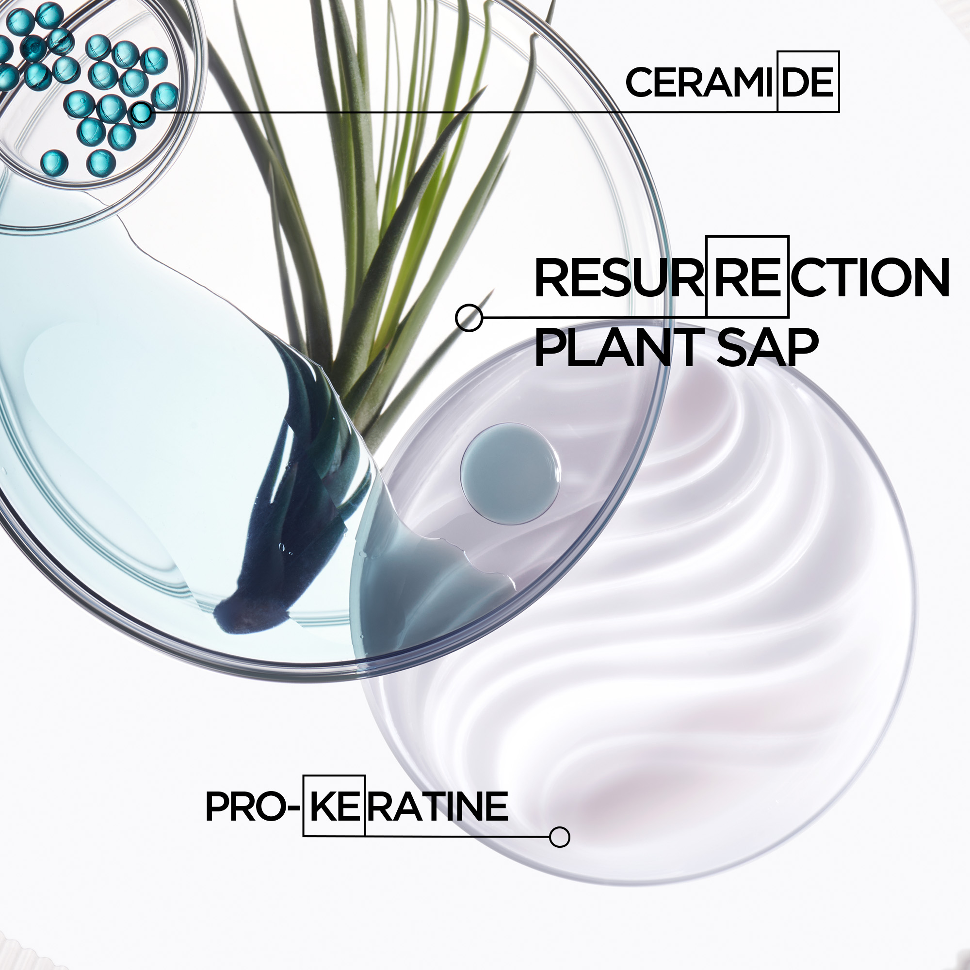 Kérastase Résistance Strengthening Shampoo for Brittle Hair 250ml