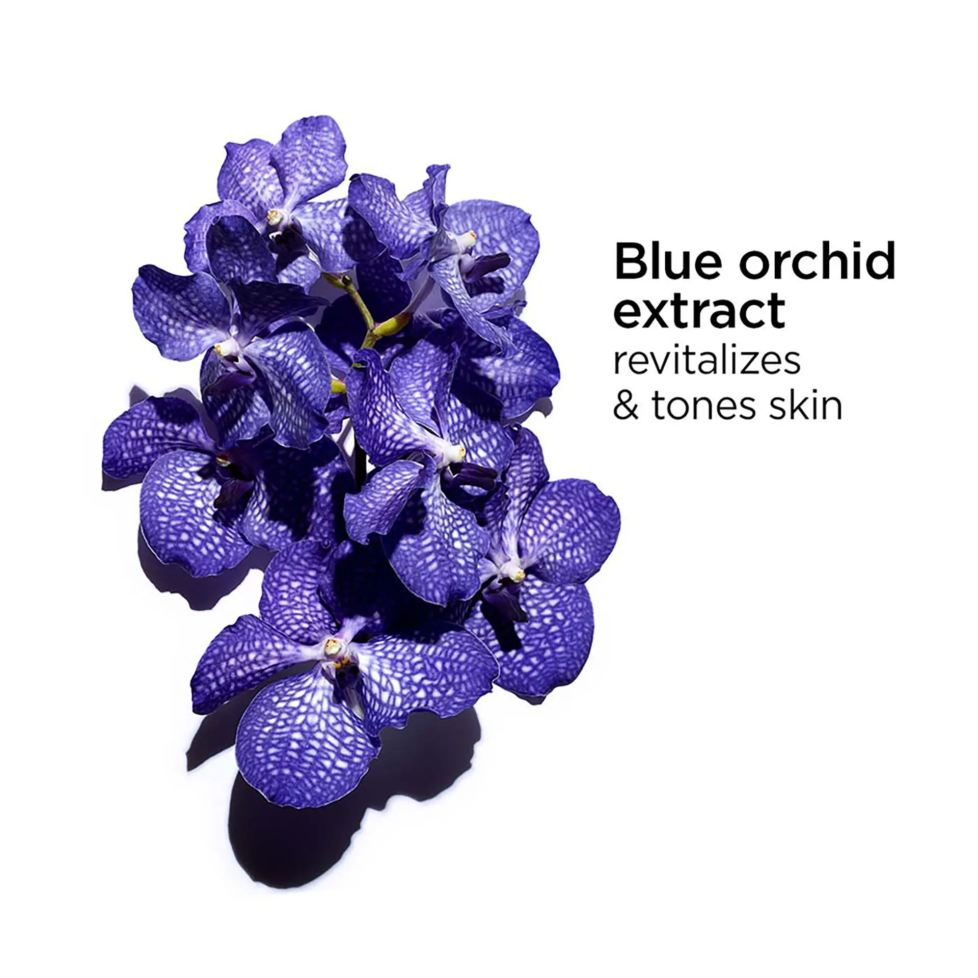 Clarins Blue Orchid Face Treatment Oil - Dehydrated Skin