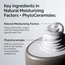 The Ordinary Natural Moisturizing Factors + PhytoCeramides - 100ml