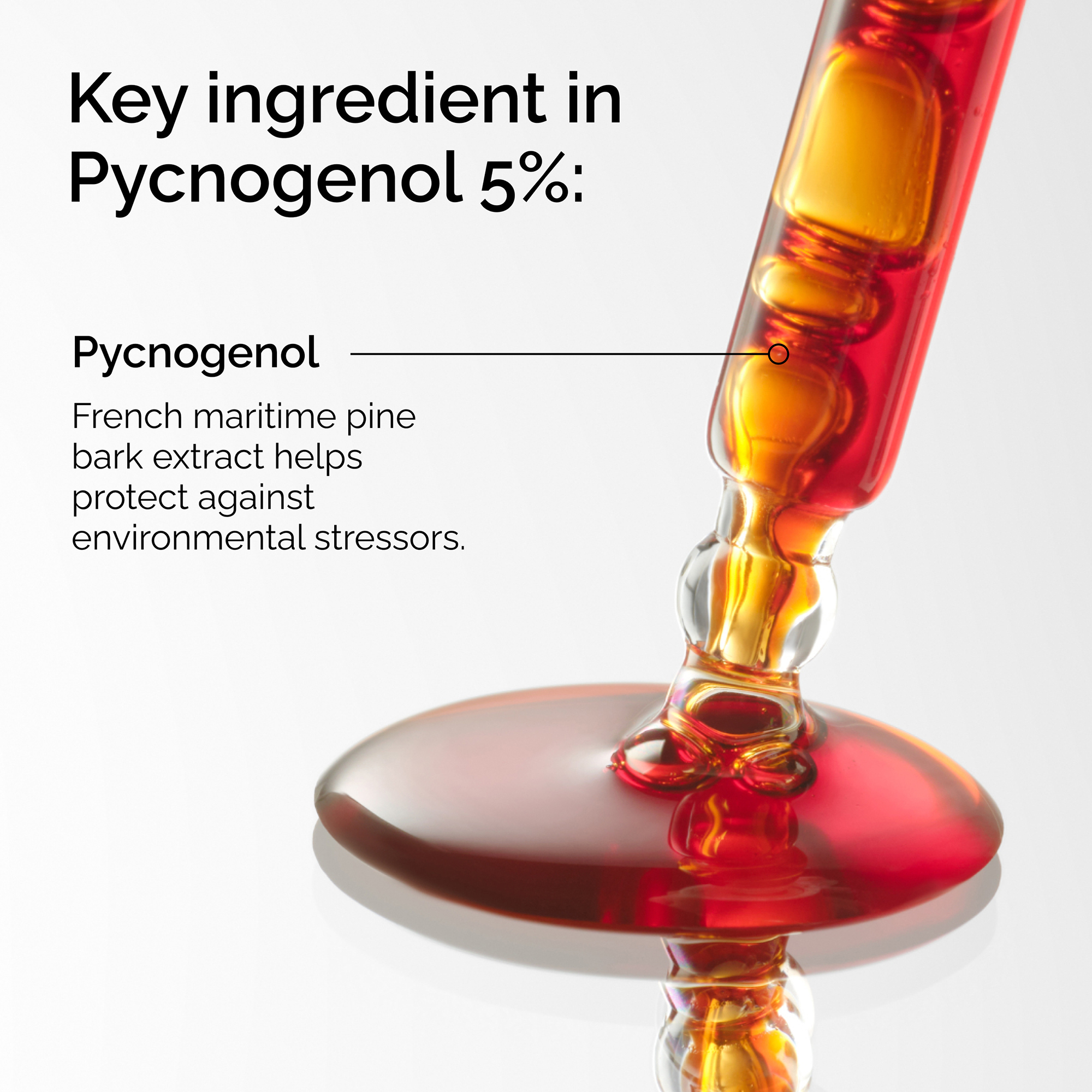 The Ordinary Pycnogenol 5% 15ml