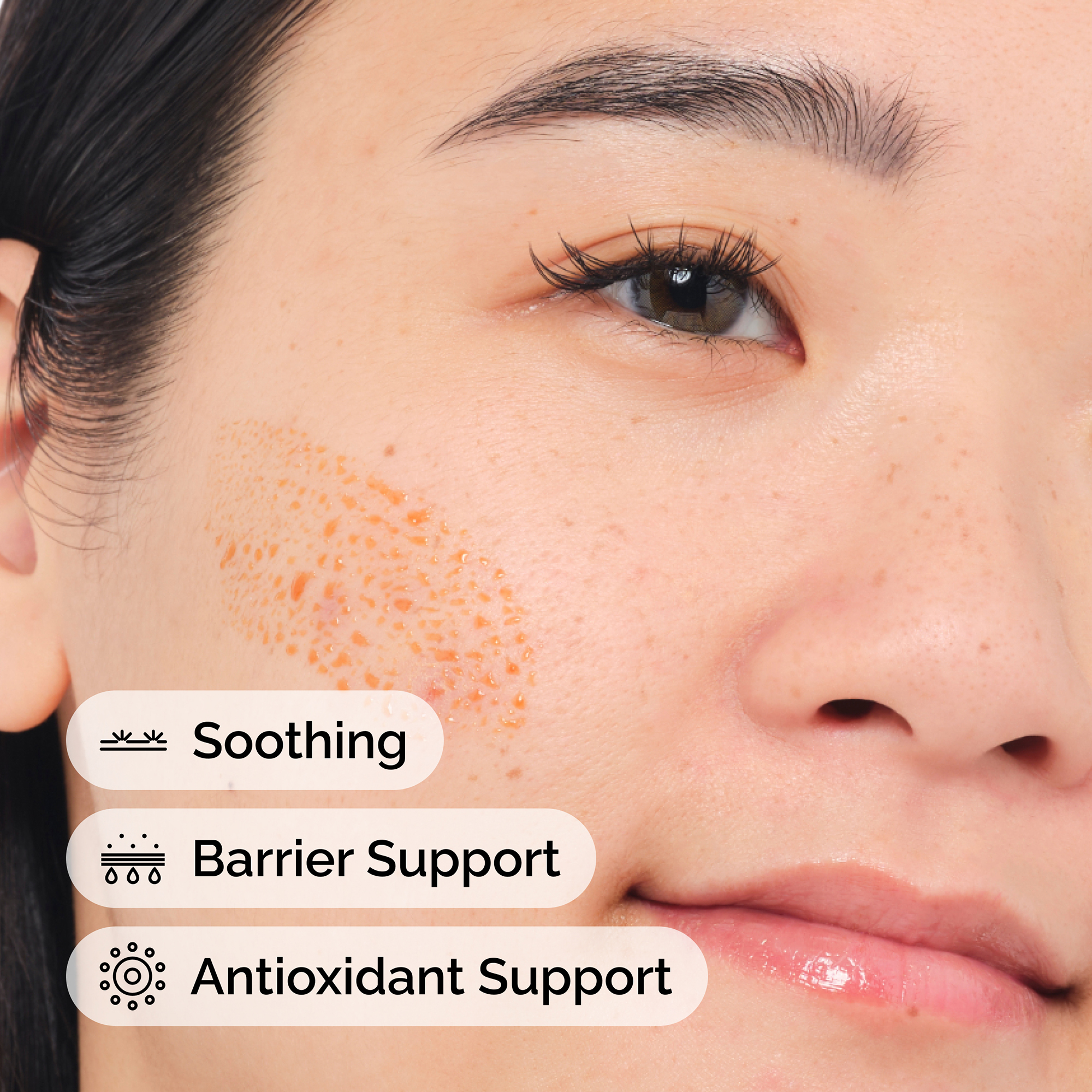 The Ordinary Pycnogenol 5% 15ml