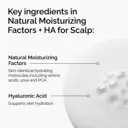 The Ordinary Natural Moisturizing Factors + HA for Scalp