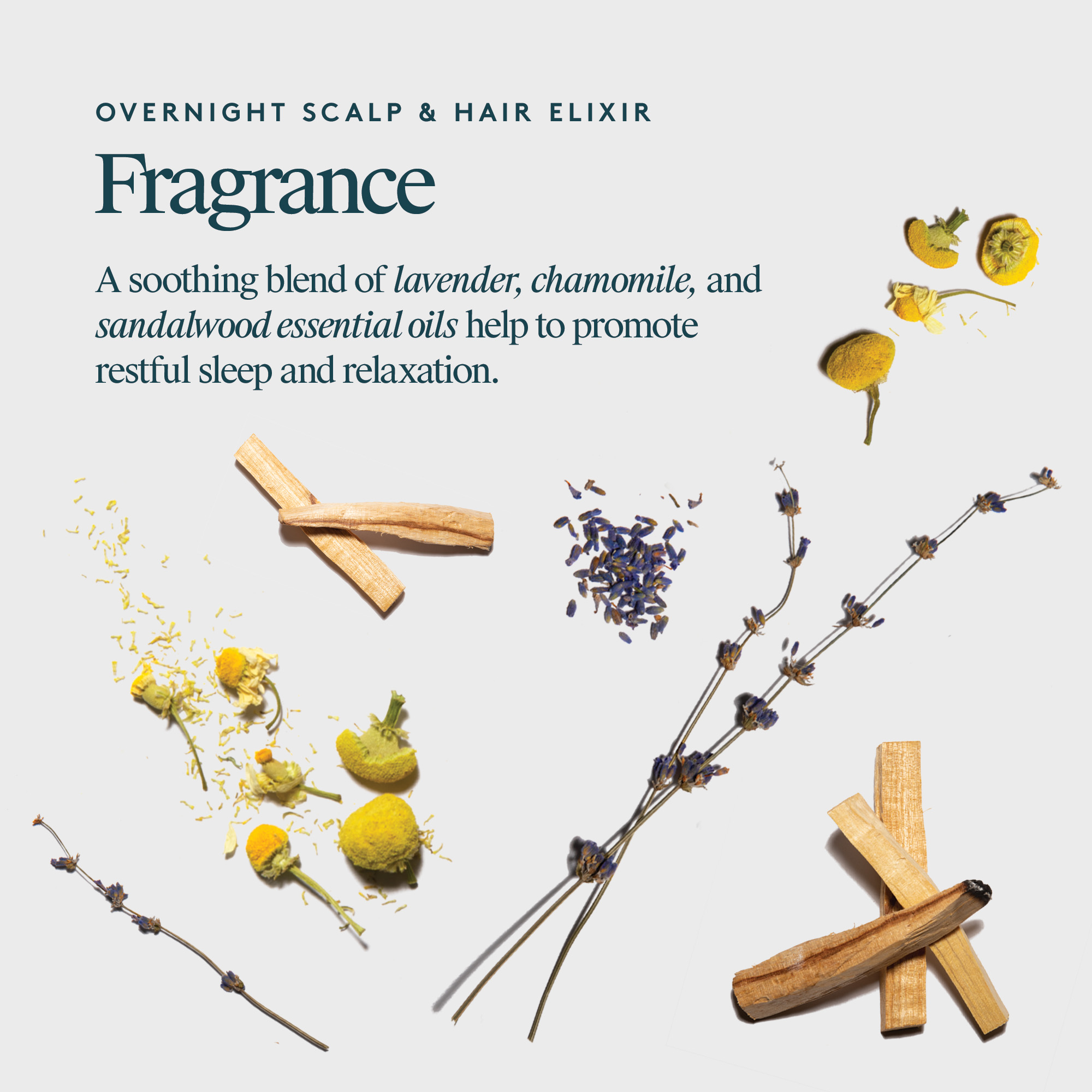 Virtue Overnight Scalp & Hair Elixir