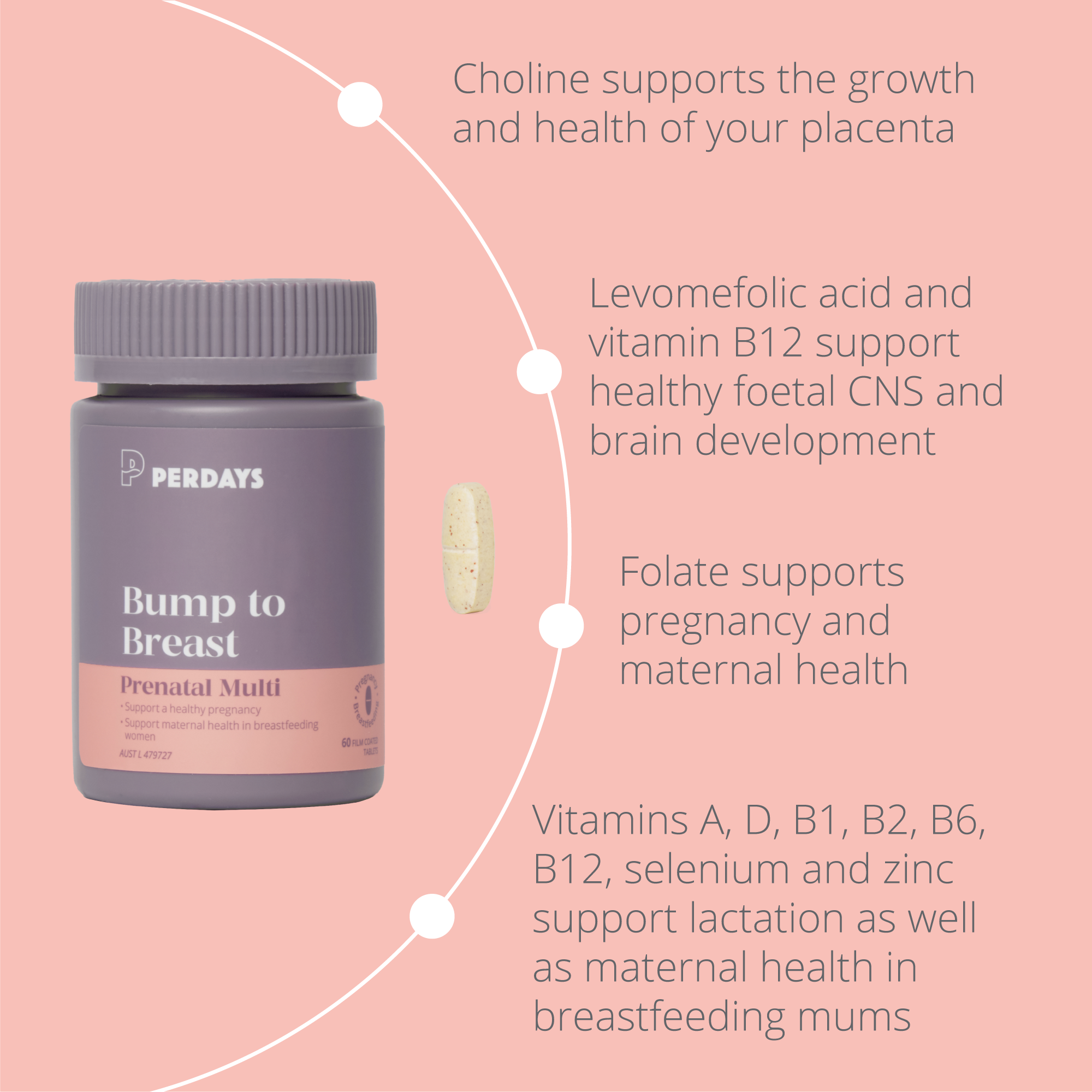 Perdays Bump To Breast Prenatal Multi