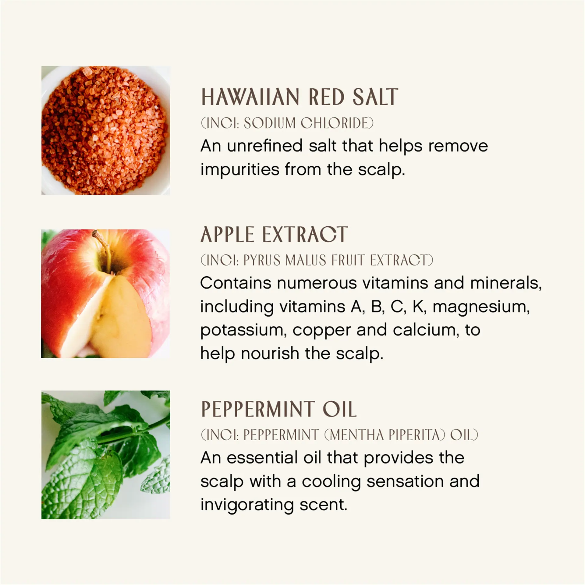 Innersense Organic Beauty True Enlightenment Scalp Scrub