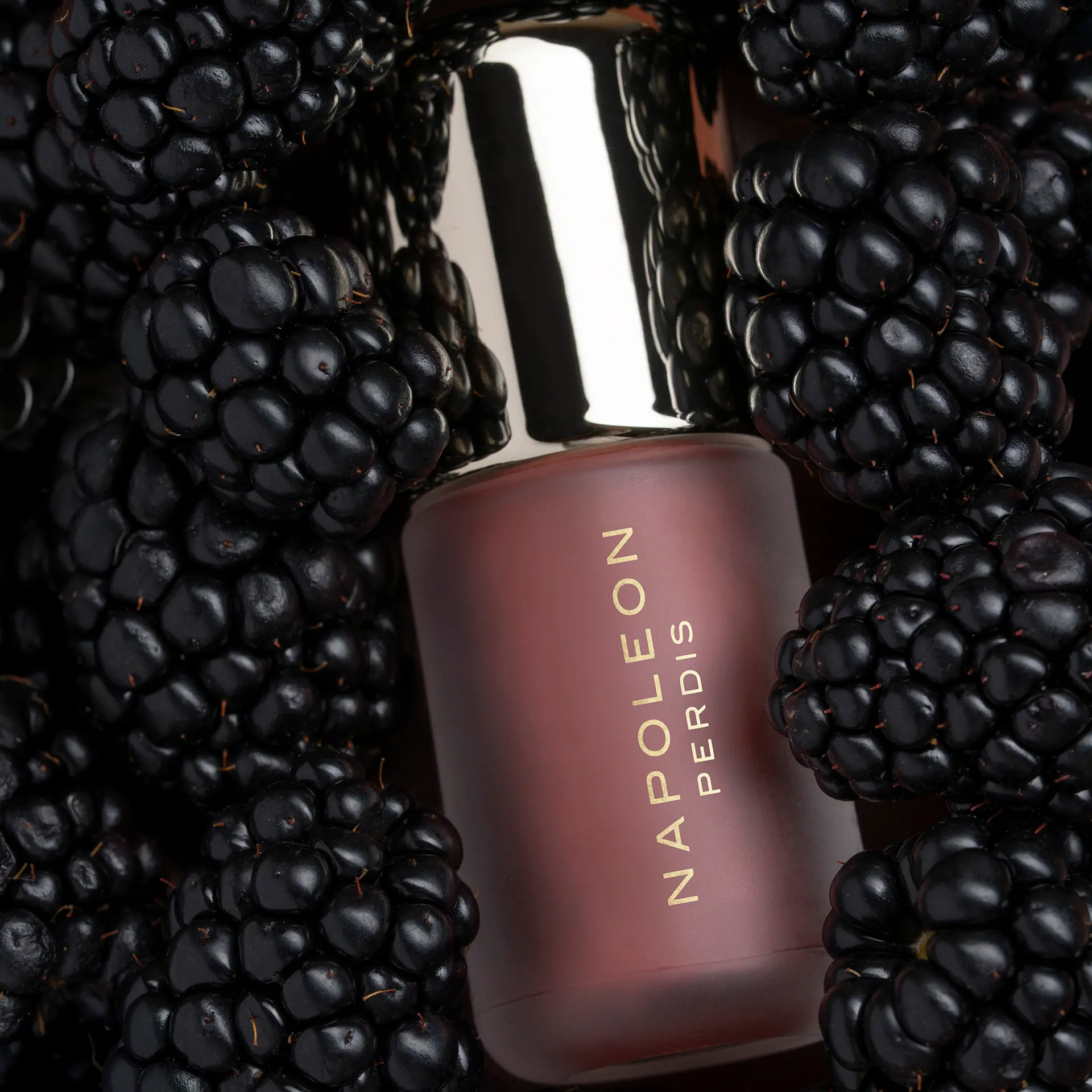 Napoleon Perdis Lip Lacquer