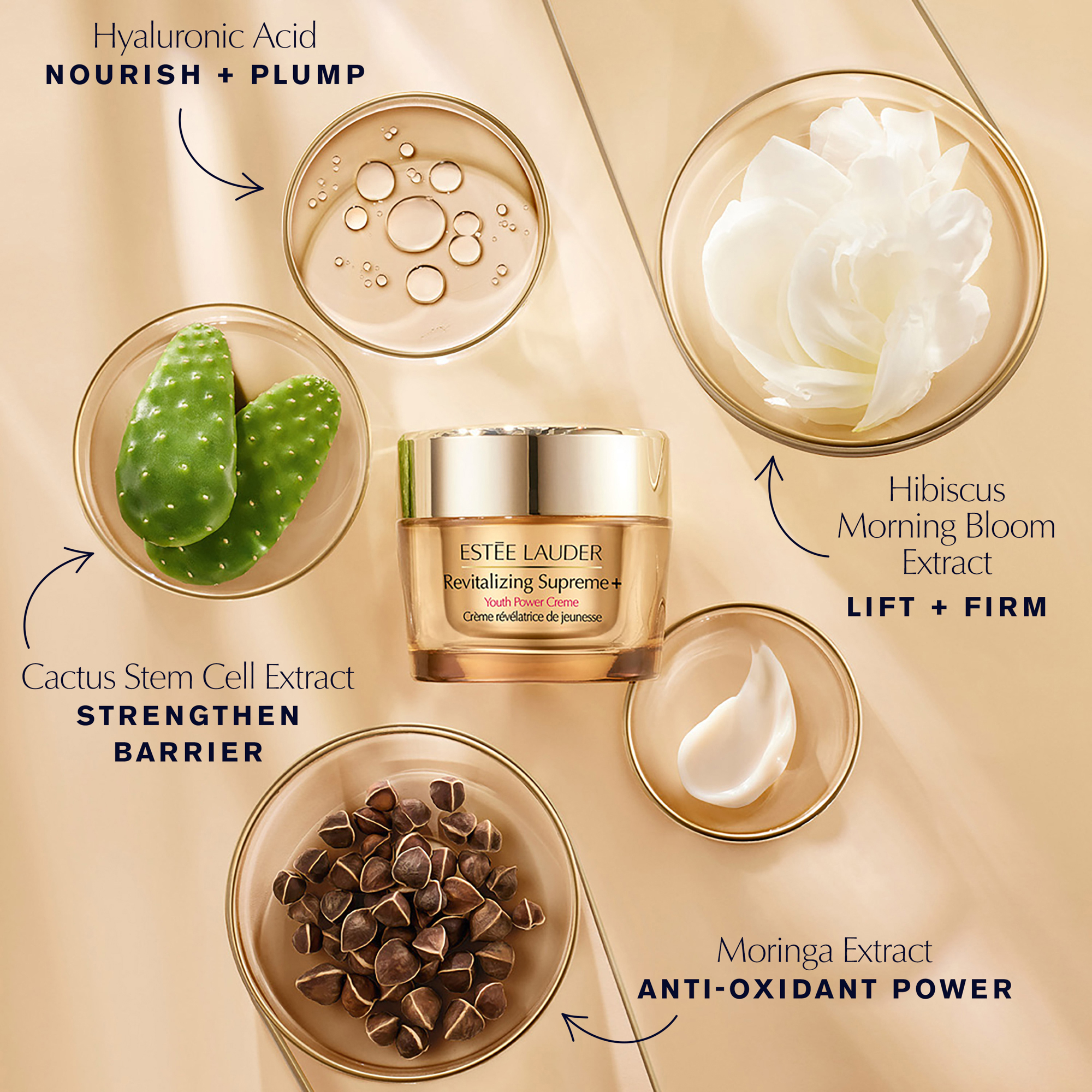 Estée Lauder Revitalizing Supreme+ Youth Power Créme 75ml