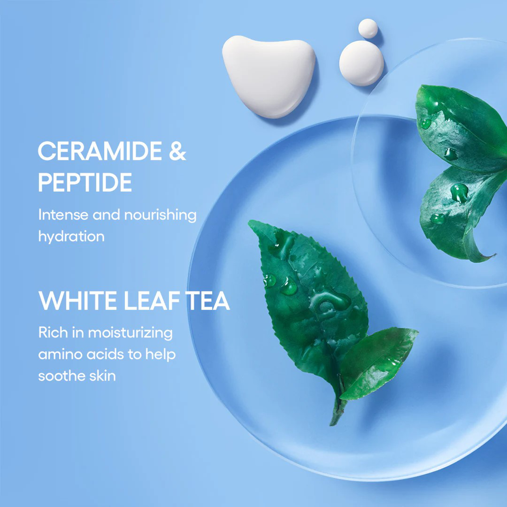 Laneige Daily Hydration Essential Set