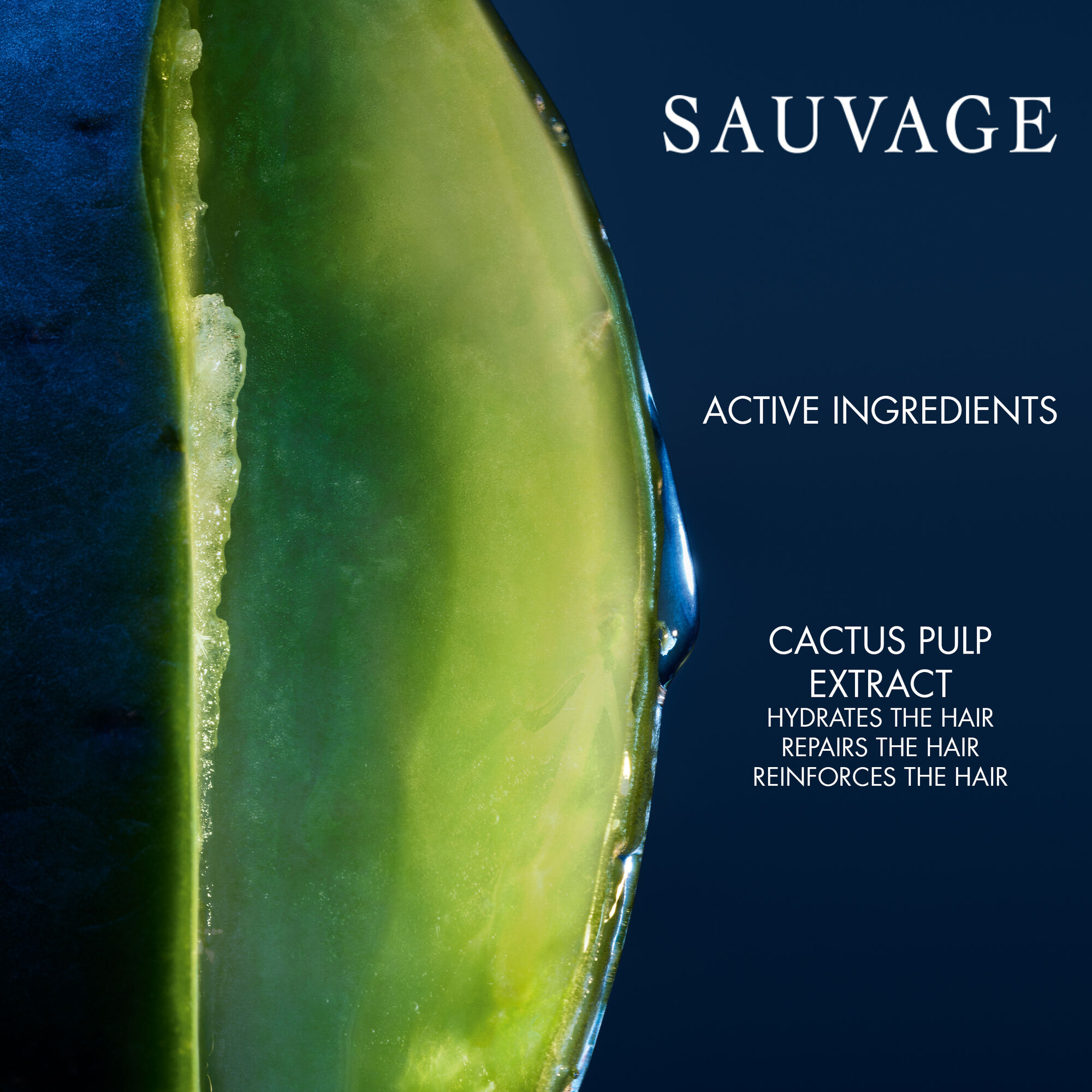 DIOR Sauvage Shampoo 250ml