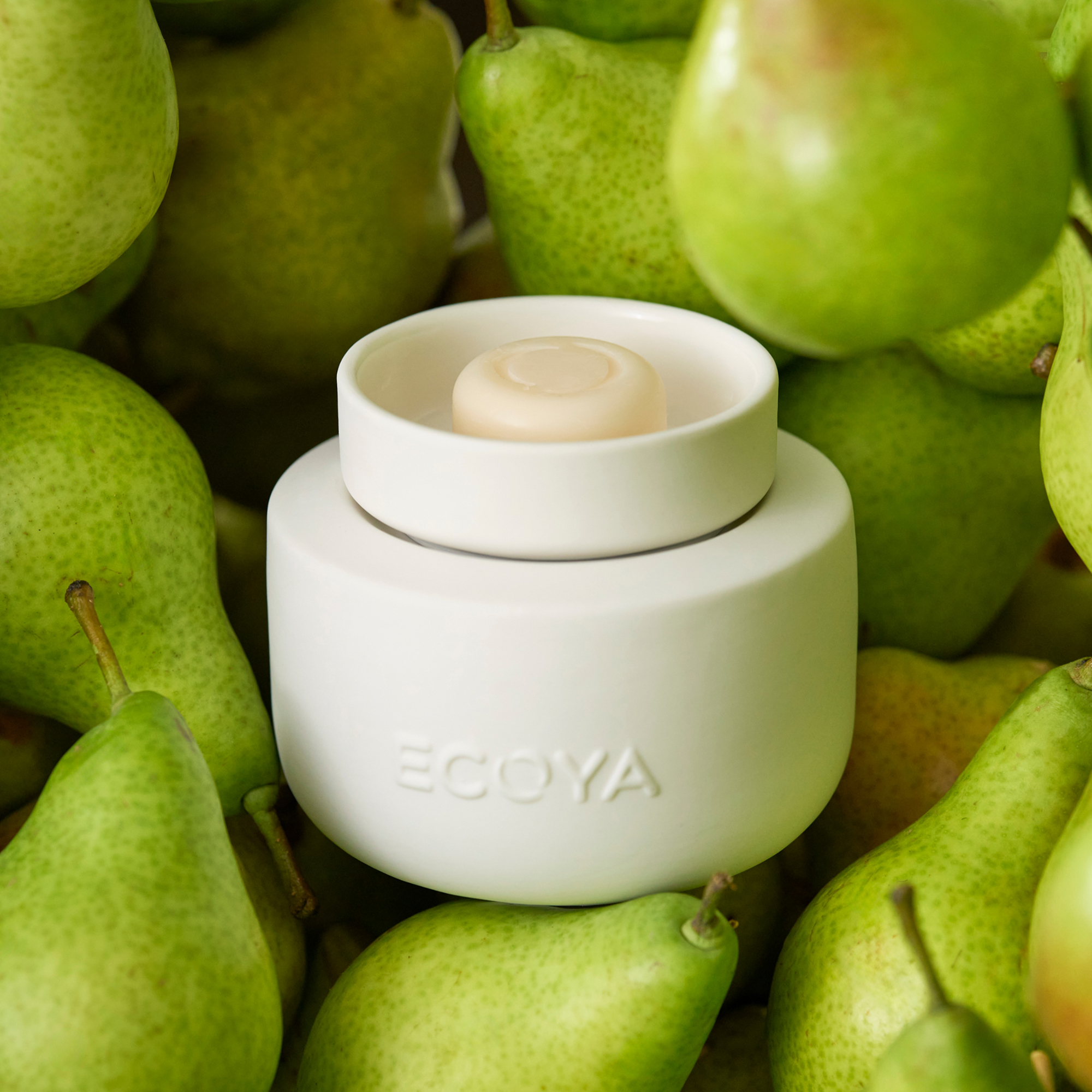 ECOYA Electric Wax Melter
