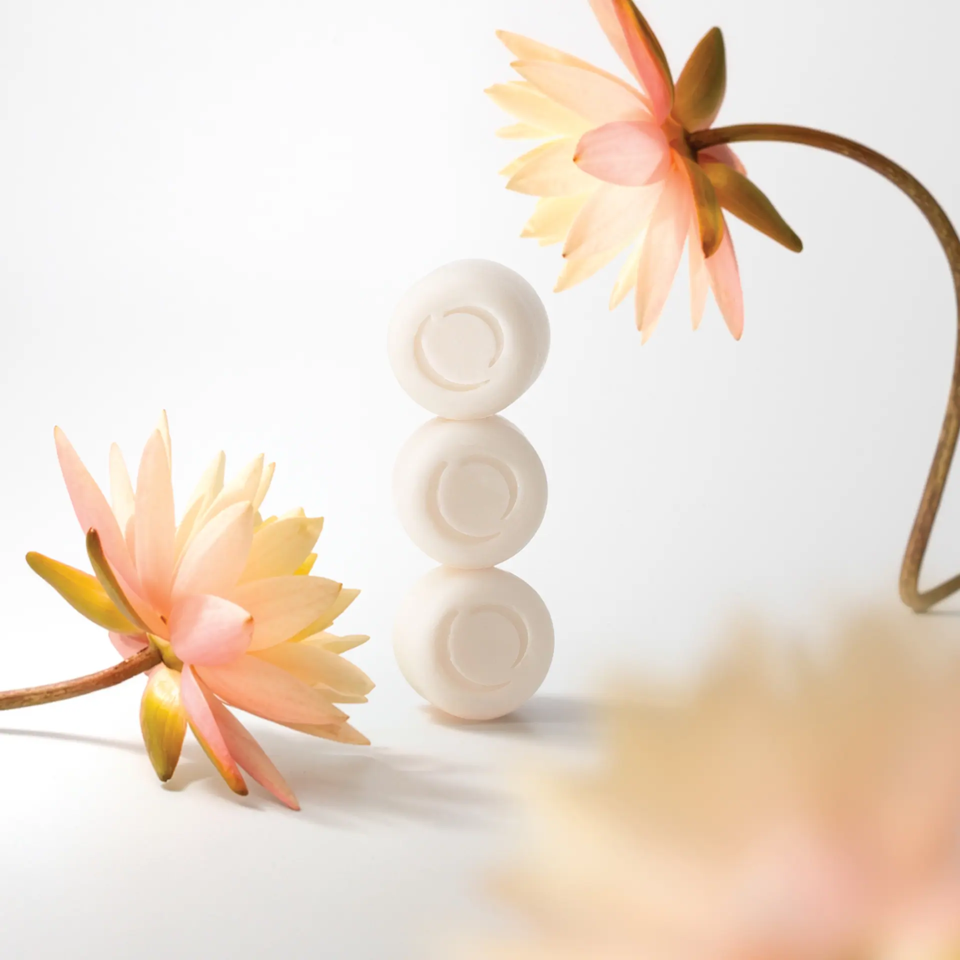 ECOYA Soy Wax Melts Lotus Flower