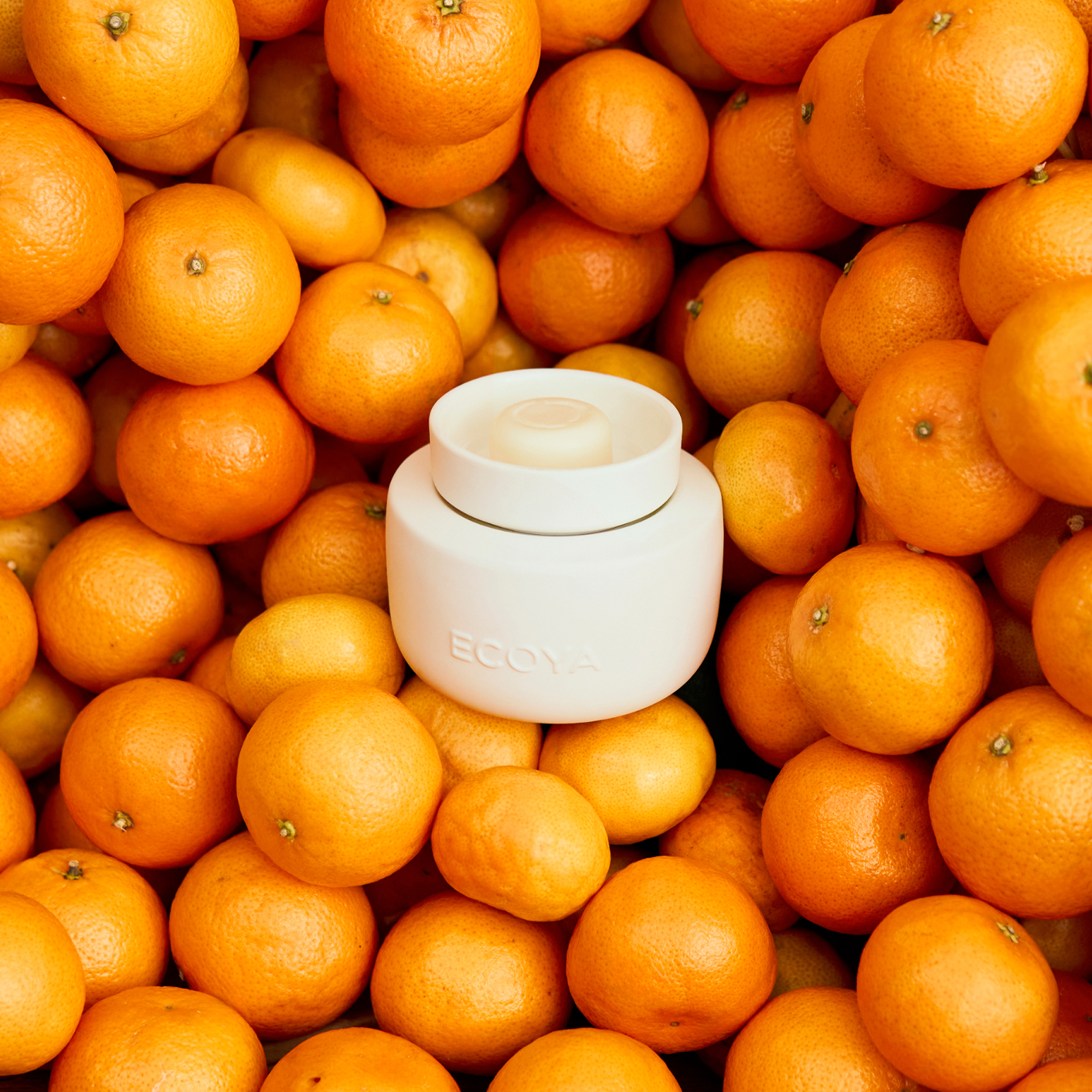 ECOYA Soy Wax Melts Mandarin Gin