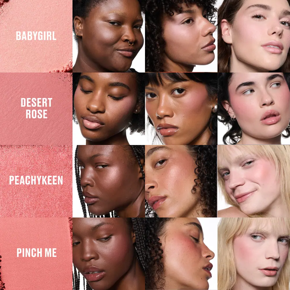 M.A.C Cosmetics Skinfinish Colourstruck Blush