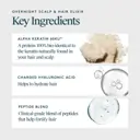 Virtue Overnight Scalp & Hair Elixir