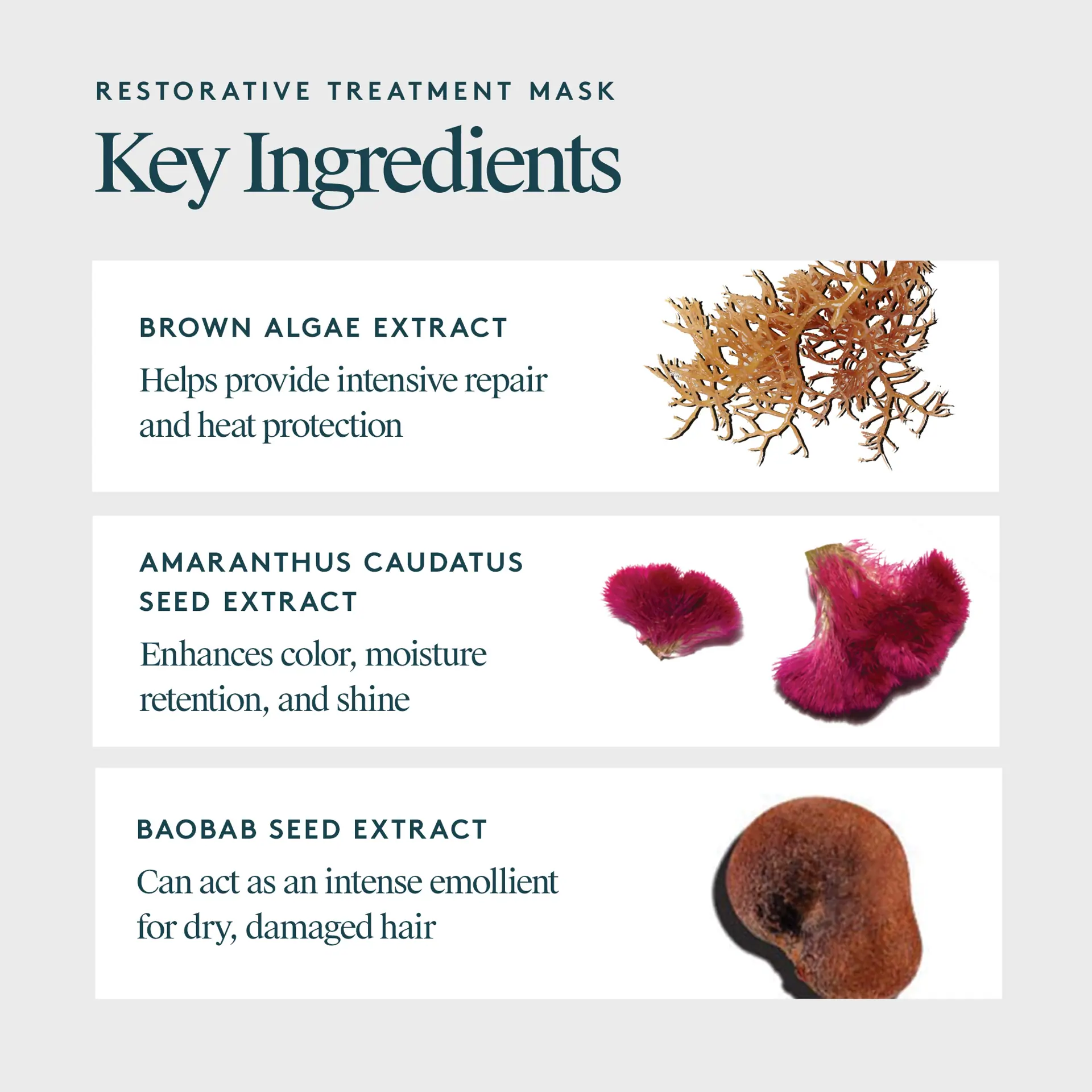 VIRTUE Restorative Treatment Mask 50ml