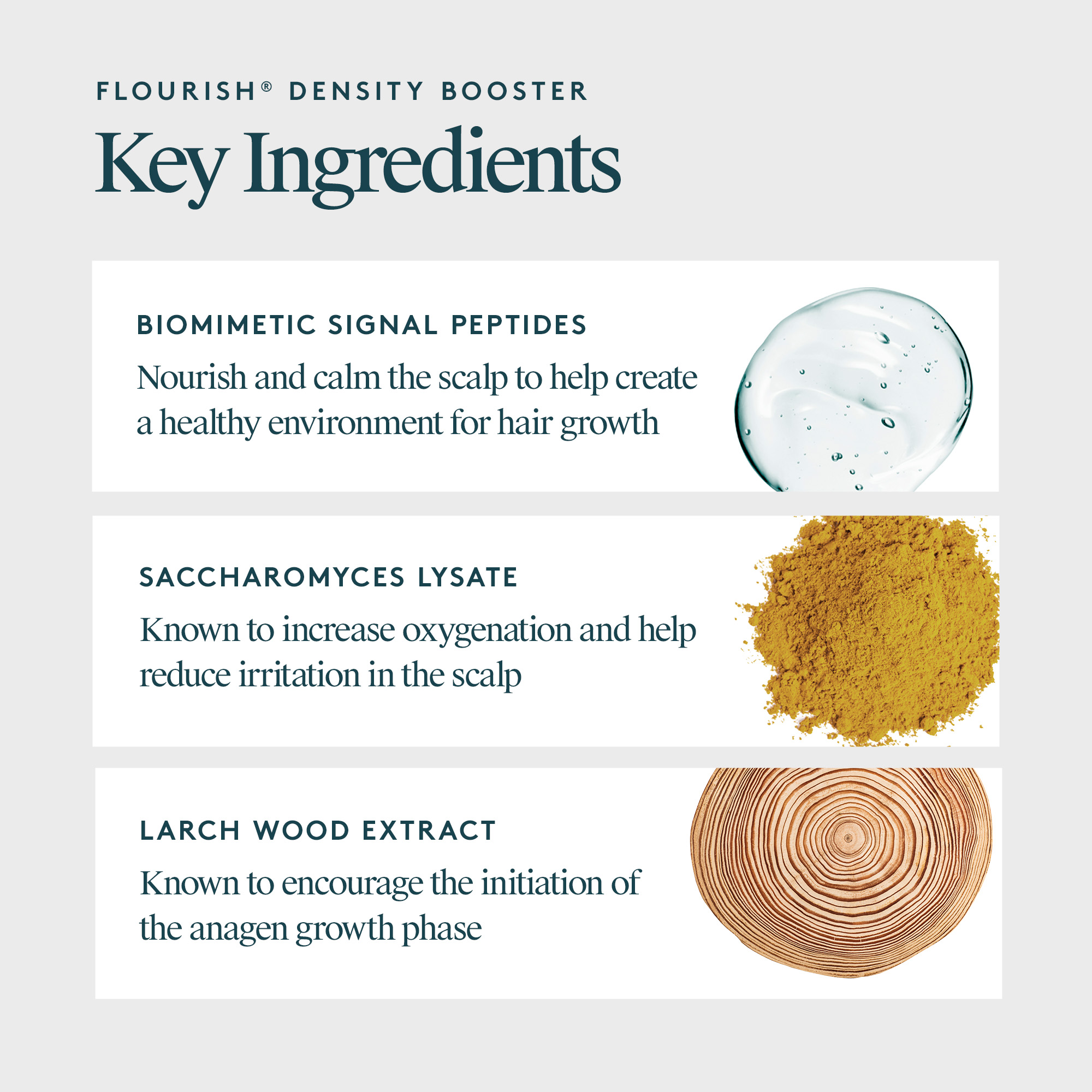 VIRTUE Flourish Density Booster 60ml