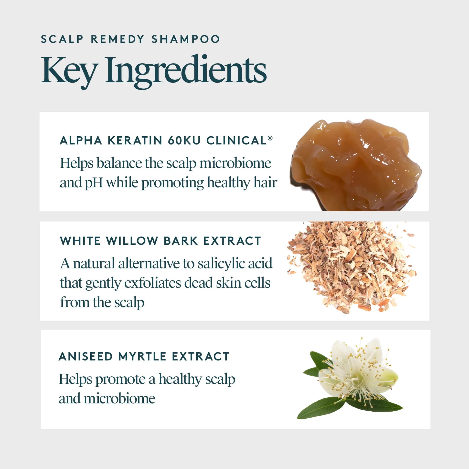 Virtue Scalp Remedy Shampoo