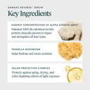 VIRTUE Damage Reverse Serum
