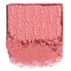 DIOR Backstage Rosy Glow Blush 106