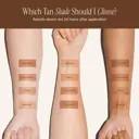 Loving Tan Platinum 2HR Express Mousse 200ml