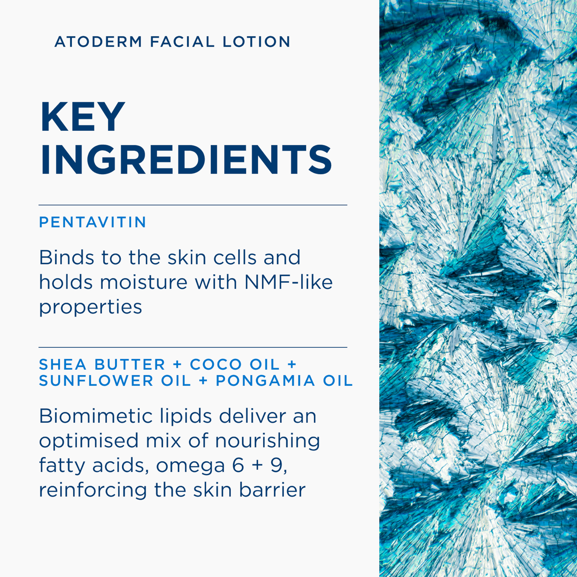 BIODERMA Atoderm Facial Lotion Ultra-Nourishing Light Cream 150ml