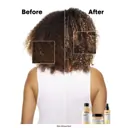 L'Oréal Professionnel Absolut Repair Shampoo 500ml Refill Pouch